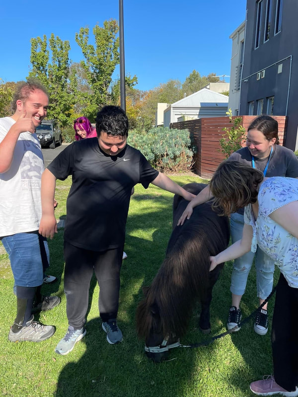 Therapy Animals Live2Achieve therapy-animals-live2achieve